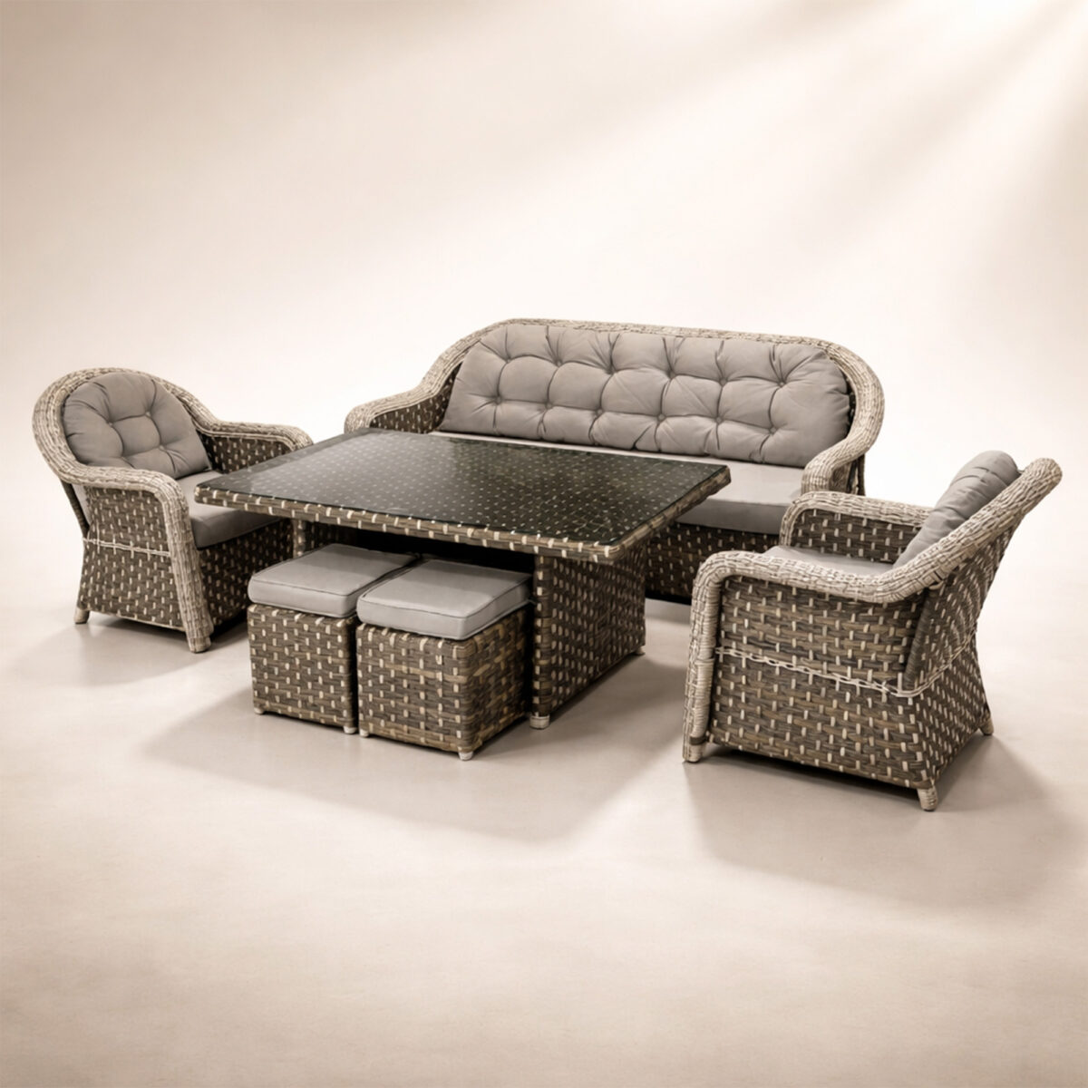 Lion 861 Rattan Wintech Oturma Grubu