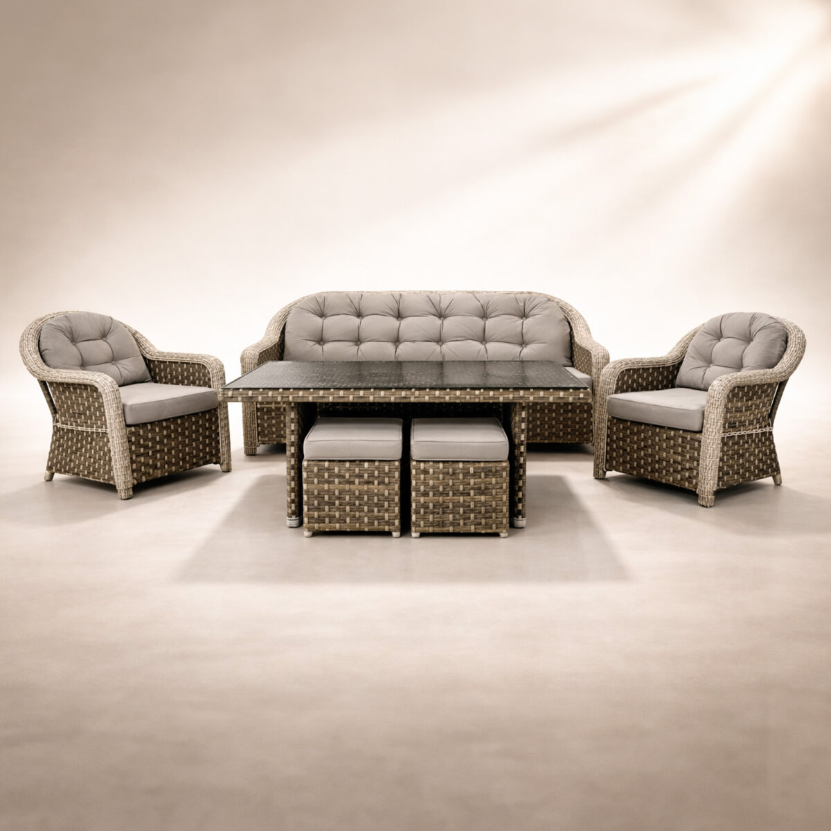 Lion 861 Rattan Wintech Oturma Grubu